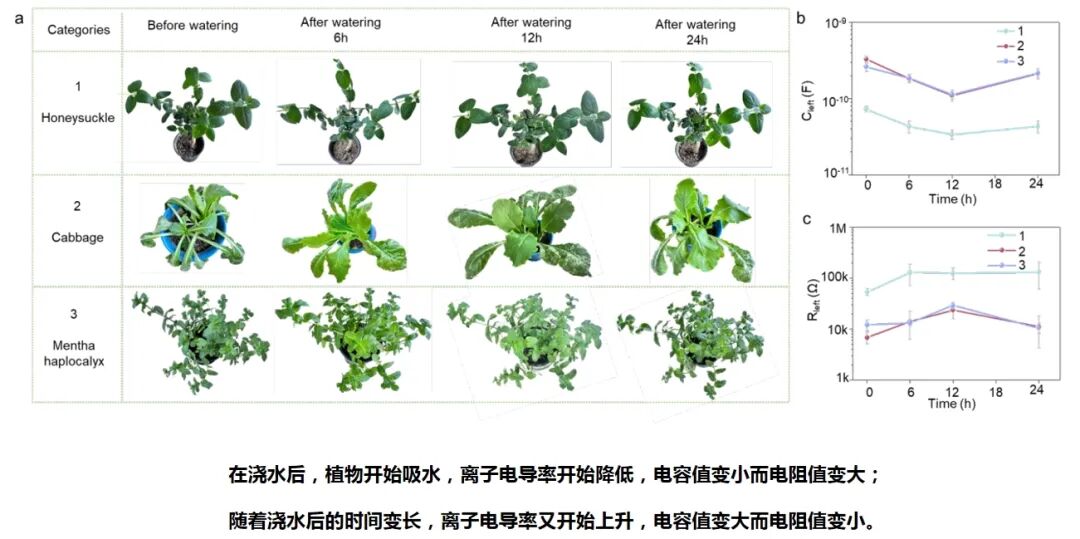 植物的健康监测.png