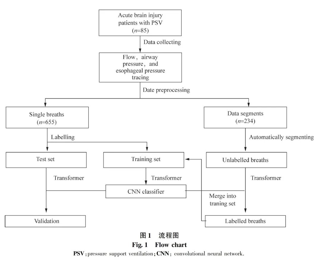synchrony呼吸机怎么按【保护性辅助通气】基于半监督卷积神经网络进行人机不同步的识别_https://www.jmylbn.com_新闻资讯_第2张
