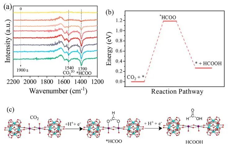 【DFT计算+实验】8篇顶刊：AM、JACS、Angew.、Nature子刊、ACS Catalysis等