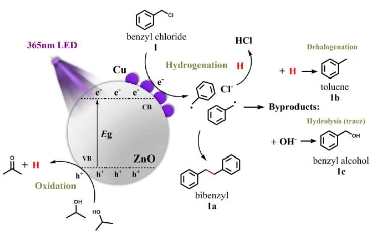 【DFT计算+实验】8篇顶刊：AM、JACS、Angew.、Nature子刊、ACS Catalysis等