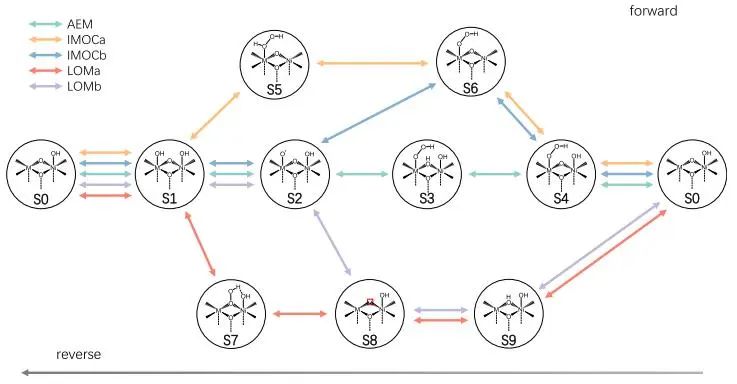 Nature子刊：计算模拟揭示Ni基LDH上析氧反应机理的电位依赖性转变