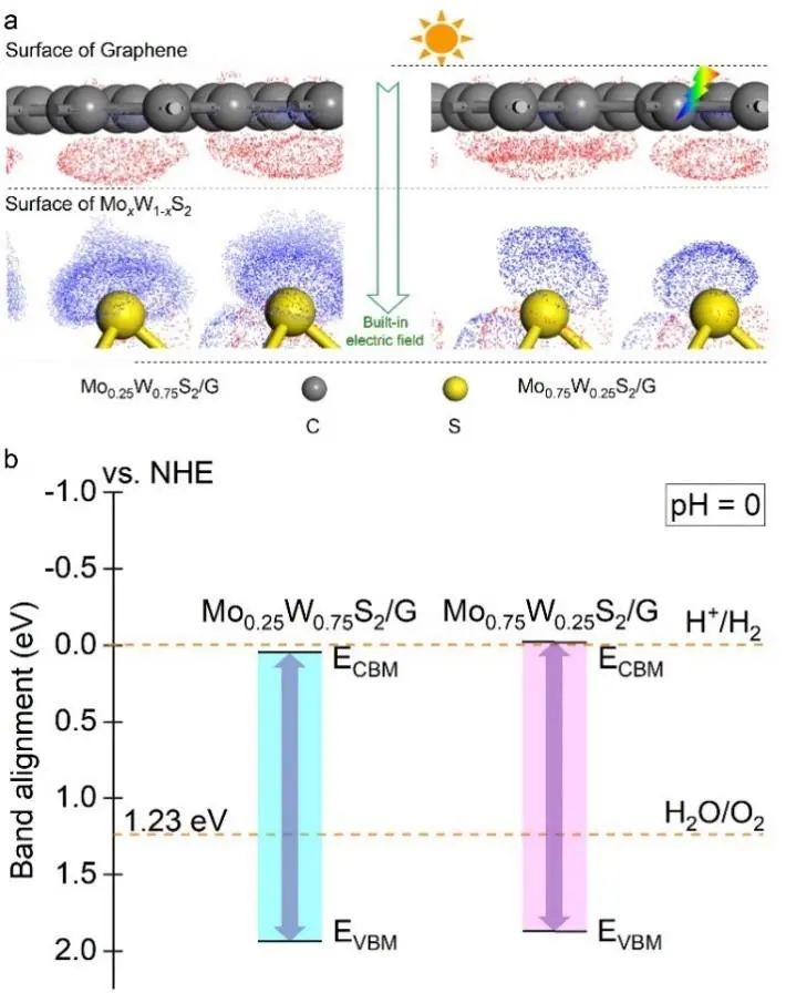 【MS纯计算】ChemPhysChem：可调带隙的MoxW1-xS2/石墨烯异质结的理论设计材料