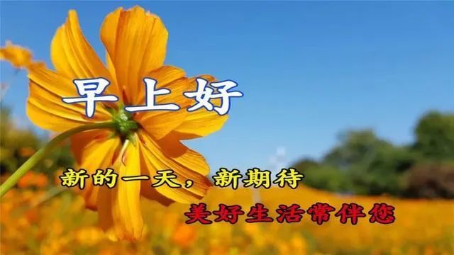 6月2日早安每天一祝 早安晚安问候祝福语 微信公众号文章 微小领