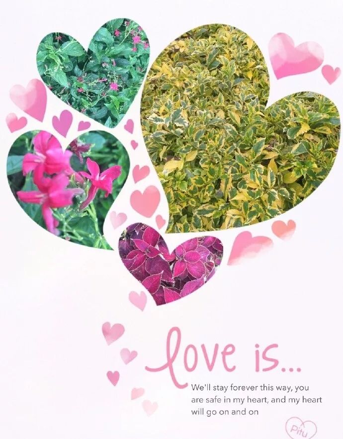 非常浪漫的早安爱情句子送女朋友 浪漫的爱情语录问候女朋友早上好 早上好问候语表情图片大全 微信公众号文章阅读 Wemp