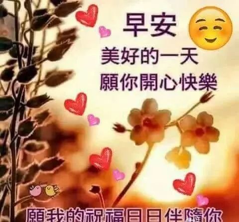 10月1日清晨送朋友的阳光早安问候语祝福 最美早上好温馨祝福短信 早上好问候语祝福表情 微信公众号文章阅读 Wemp