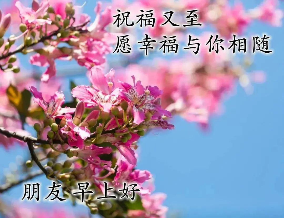 6月6日星期天早上好祝福暖心语句 微信早上漂亮的问候图片表情 早安晚安问候祝福语 为新搜