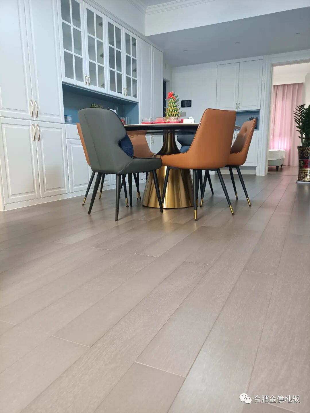 虎斑木地板_蓝虎斑和海豹虎斑暹罗_海豹虎斑和蓝虎斑