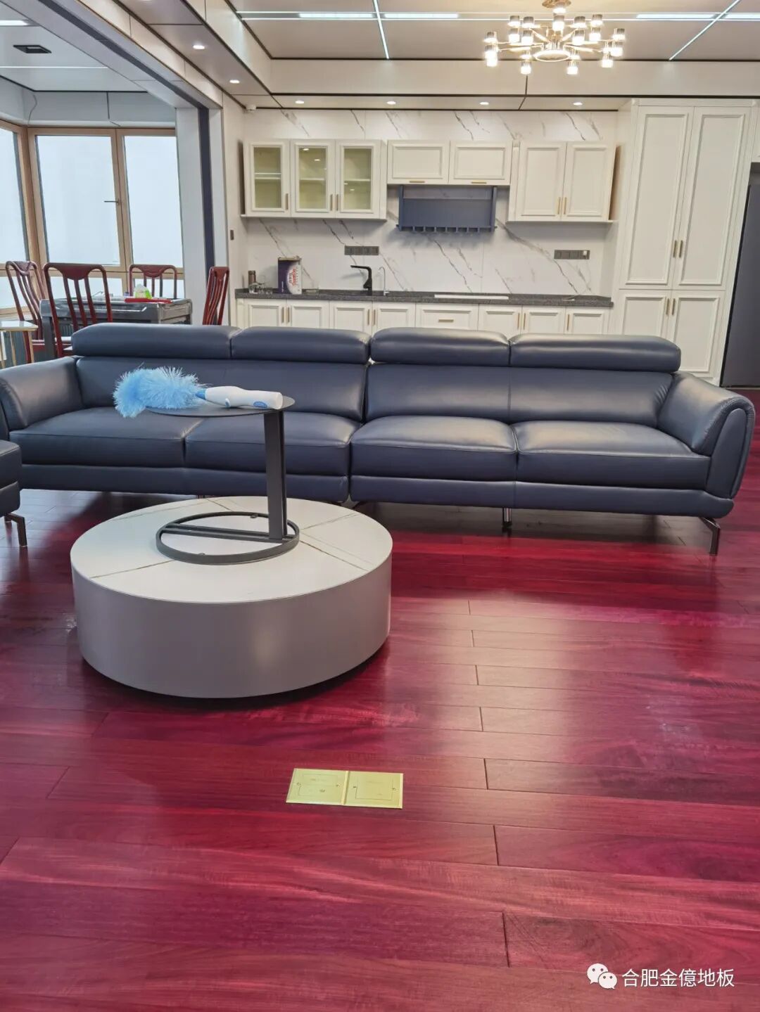 虎斑木地板_海豹虎斑和蓝虎斑_蓝虎斑和海豹虎斑暹罗