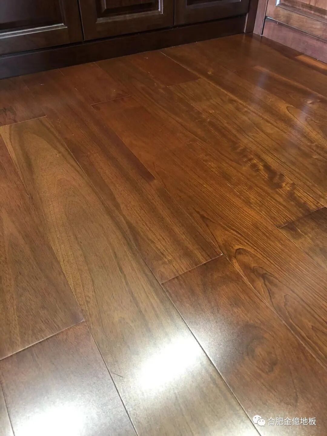 虎斑木地板_蓝虎斑和海豹虎斑暹罗_海豹虎斑和蓝虎斑