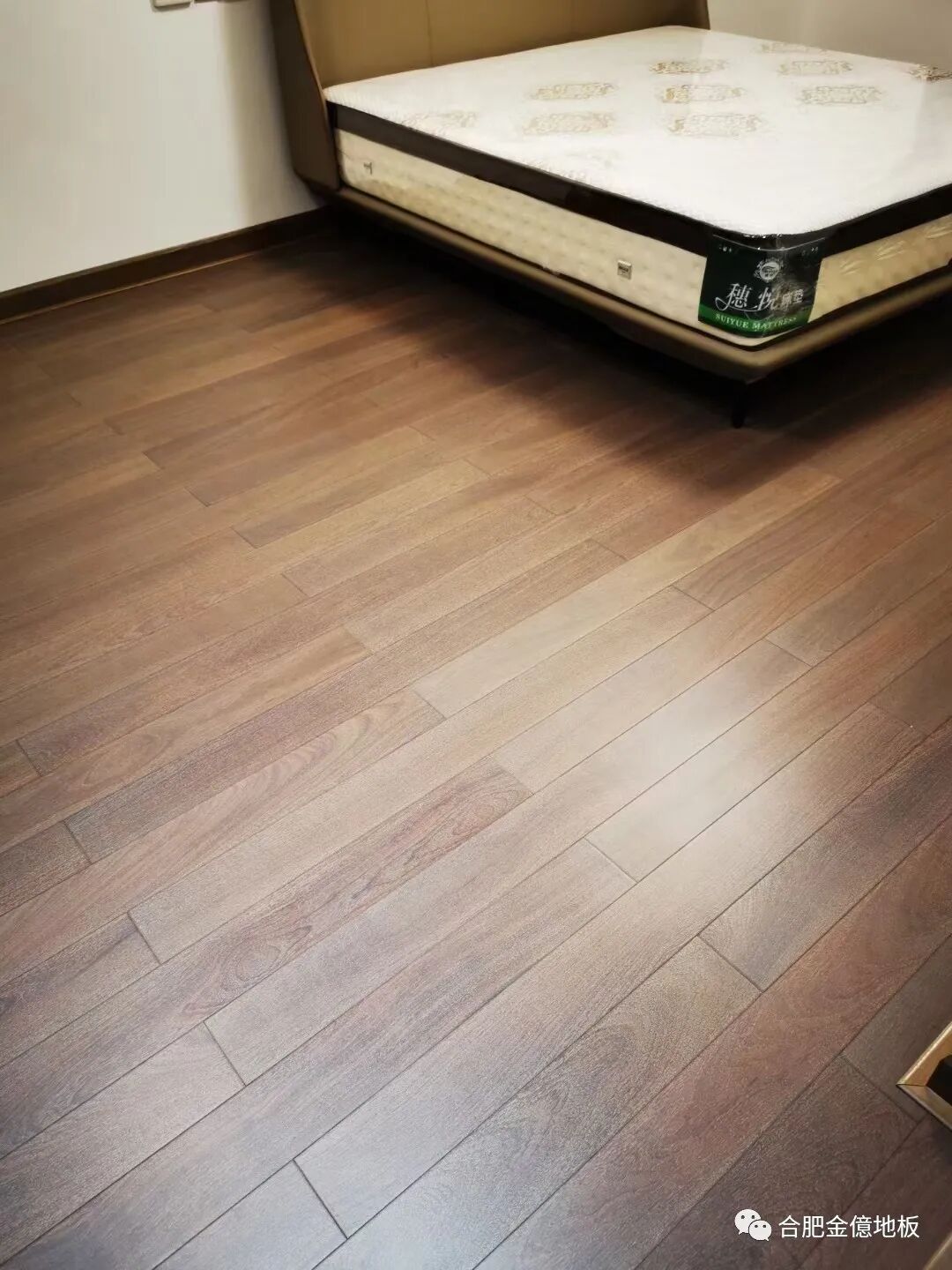 海豹虎斑和蓝虎斑_虎斑木地板_蓝虎斑和海豹虎斑暹罗