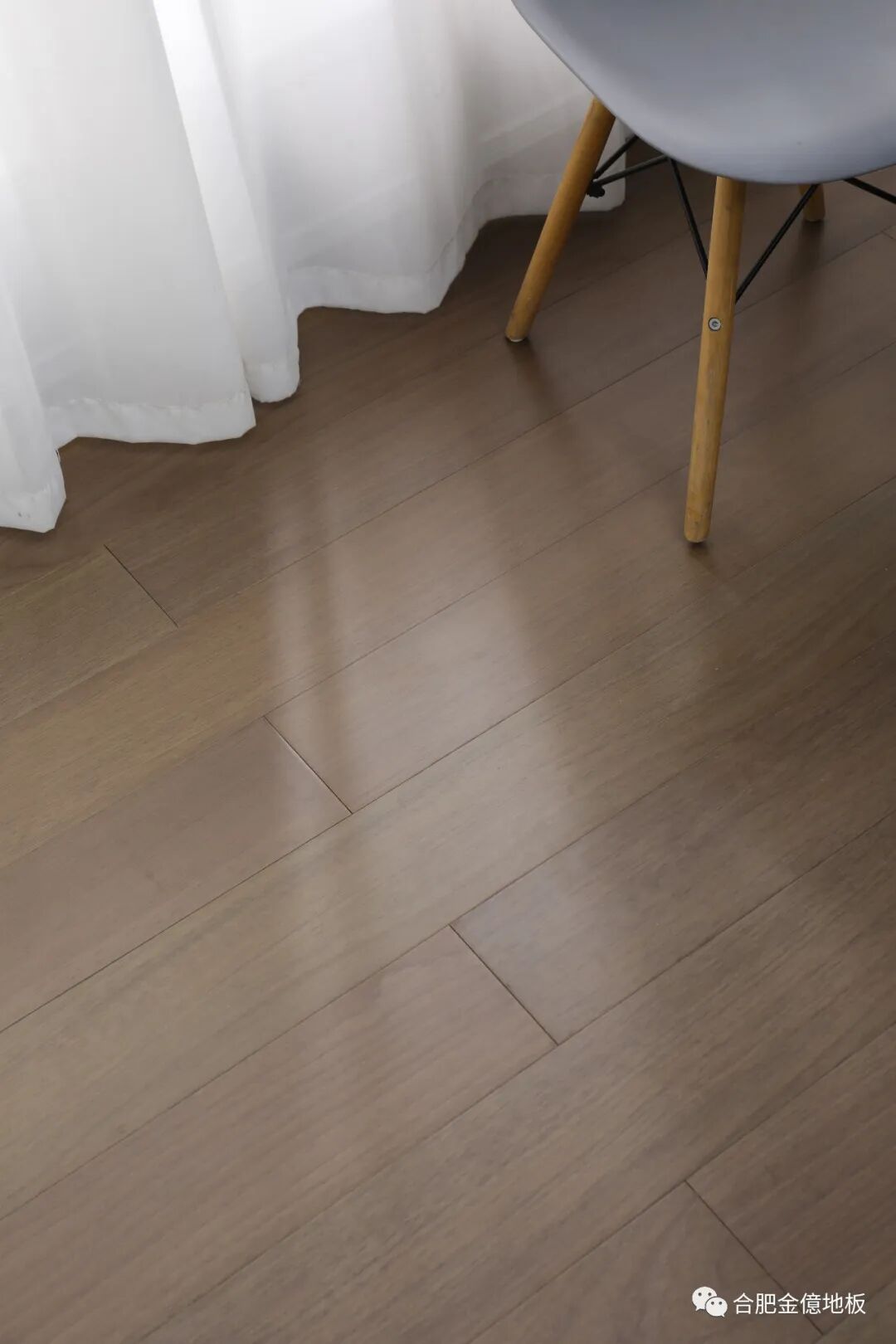 海豹虎斑和蓝虎斑_虎斑木地板_蓝虎斑和海豹虎斑暹罗