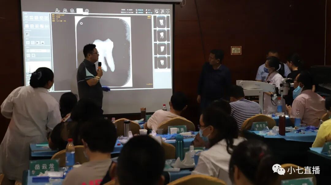 口腔H锉怎么消毒【根管篇】牙科医生看看----经典根管治疗总结_https://www.jmylbn.com_新闻资讯_第35张