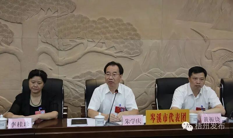 在随后的发言中,来自大隆镇的市人大代表黄秋娜和来自水汶镇的市人大