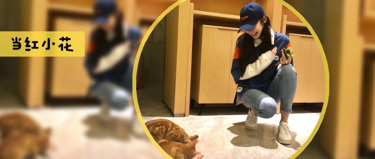 选秀，分赃不均？