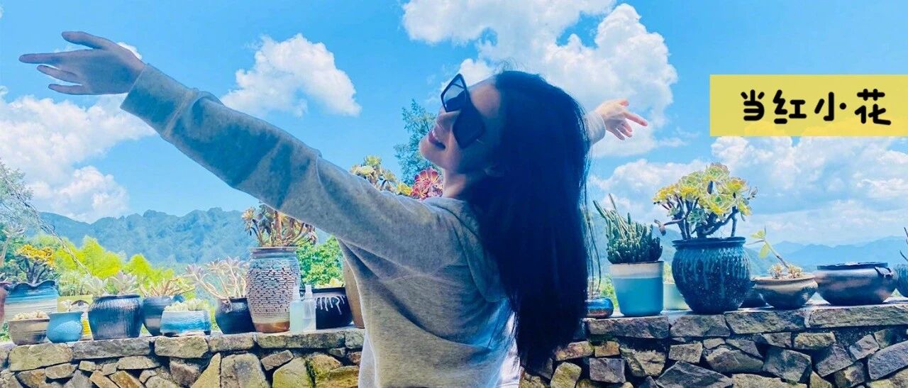 下一个顶流，有点儿手段