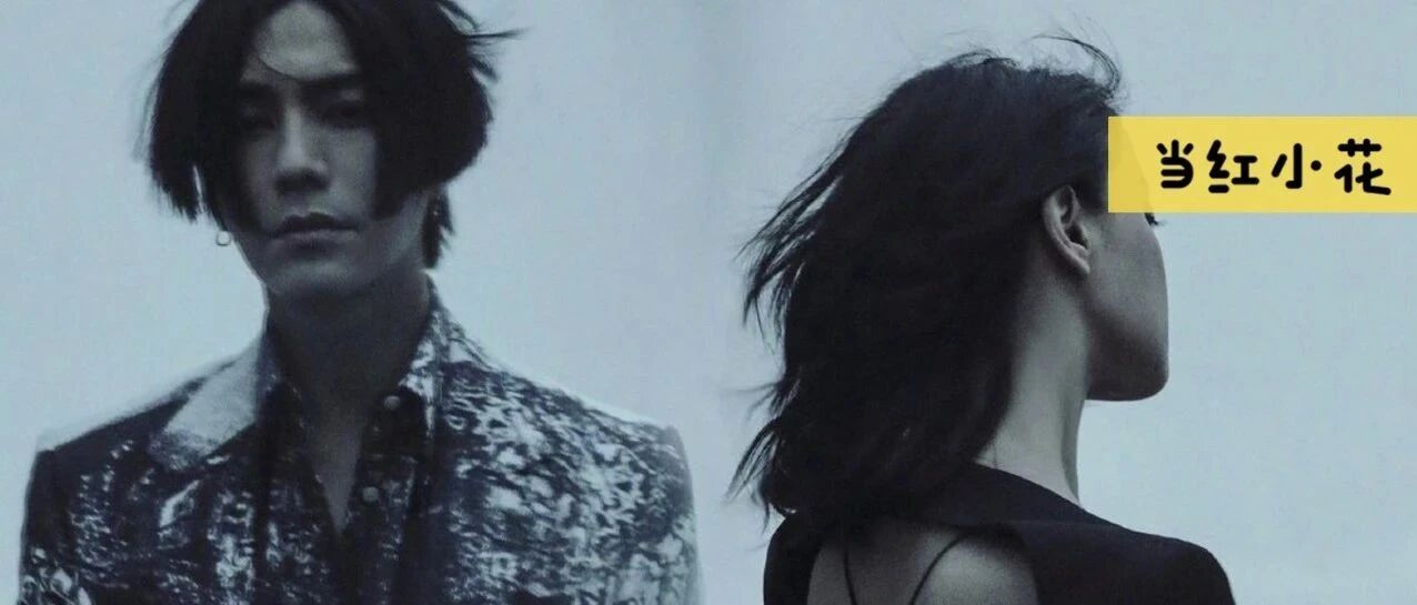 他俩没结婚反倒不可惜