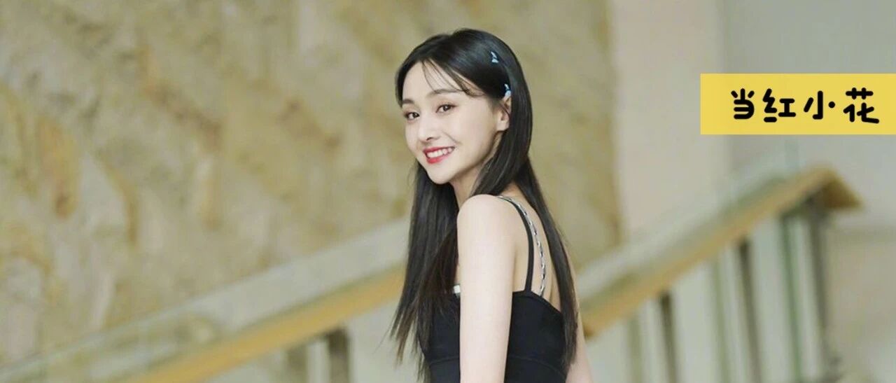 郑爽张翰真复合了？