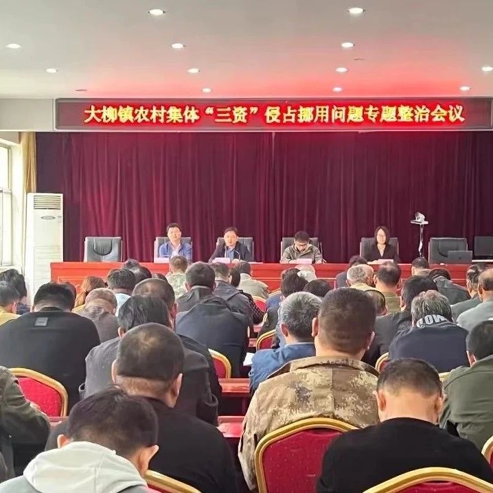 宁津县大柳镇:念好&ldquo;四字诀&rdquo;有序推进农村集体&ldquo;三资&rdquo;清理工作