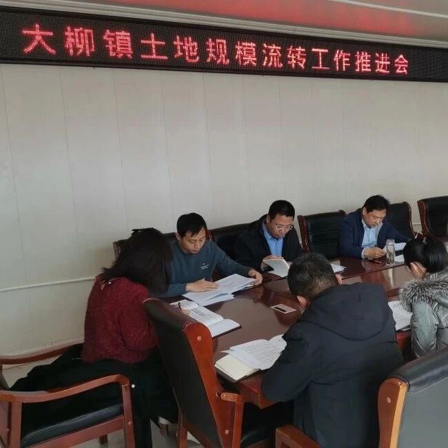 宁津县大柳镇:土地流转&ldquo;流&rdquo;出农业生产力 &ldquo;转&rdquo;出乡村新活力