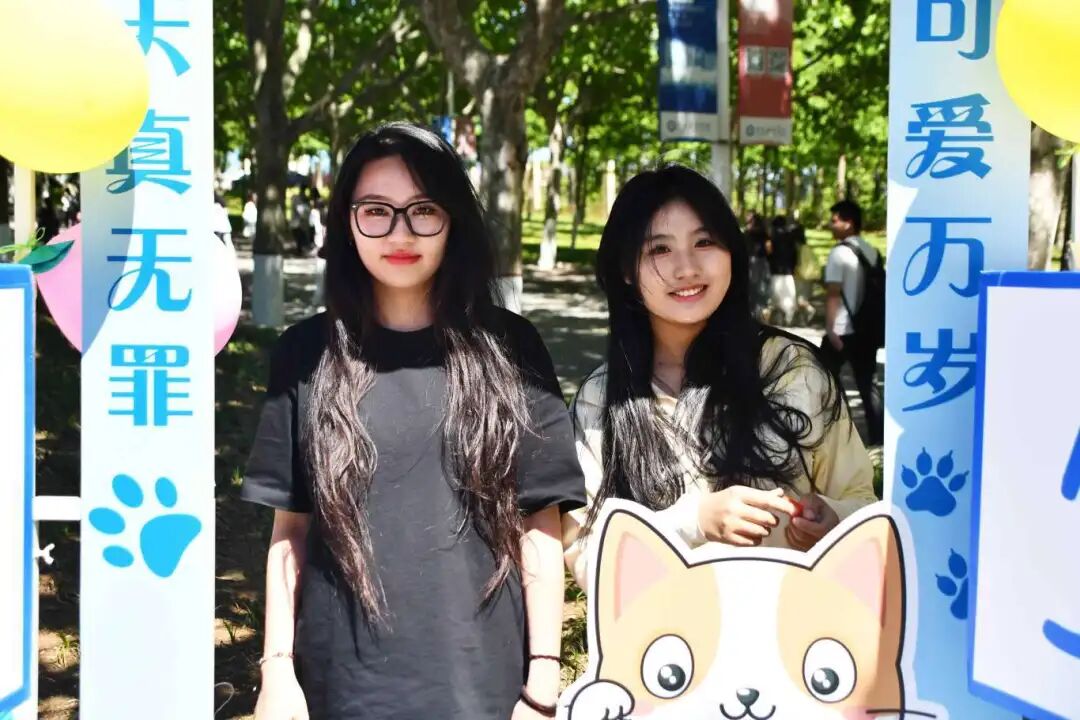 义诊等活动摊位,丢沙包,画风筝,套圈,投壶,抱抱熊等各种各样的活动