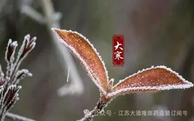 中药降压药其实是中西结合式降压药