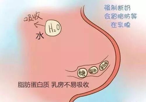 断奶后 残留乳汁对身体有哪些影响 全网搜