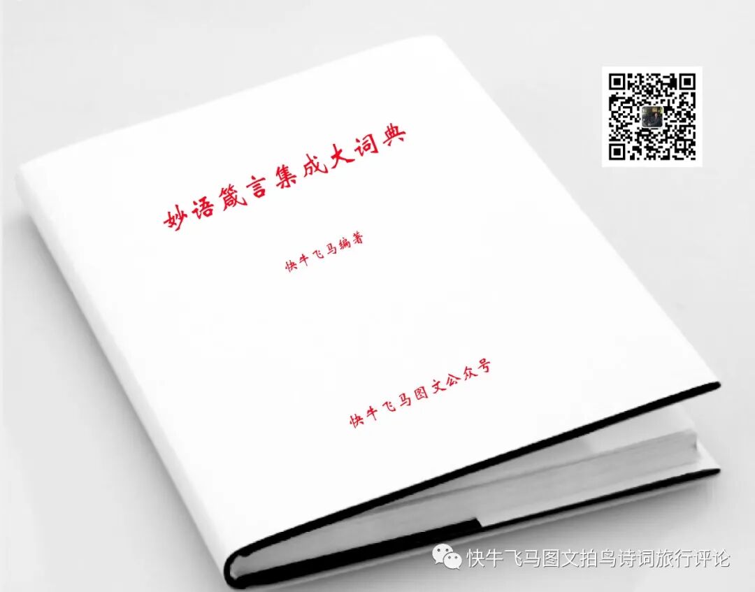 理性 连载251 妙语箴言集成大词典 全网搜
