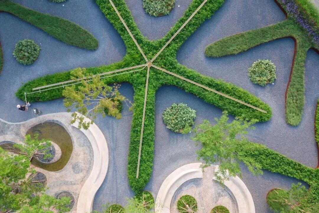 小小一方种植池，主角配角两相宜