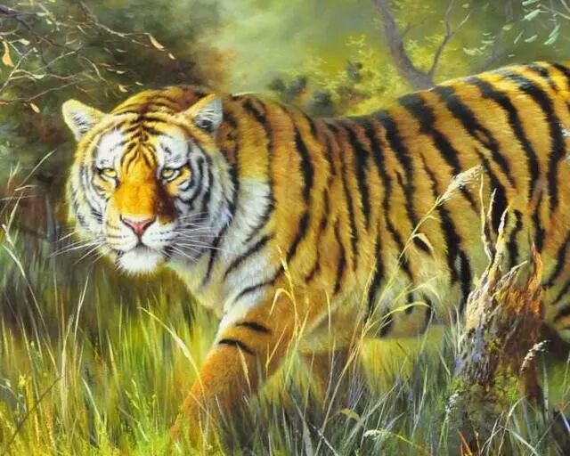 穷富有命 生死由天 74年的苦命虎 现在44岁大限已到 都是天意 时光探险 微信公众号文章阅读 Wemp