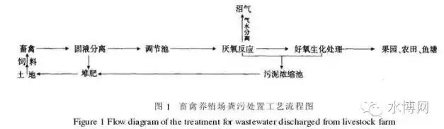 养猪也要讲环保?养殖废水处理技术了解一下? 养猪也要讲环保?养殖废水处理技术了解一下?