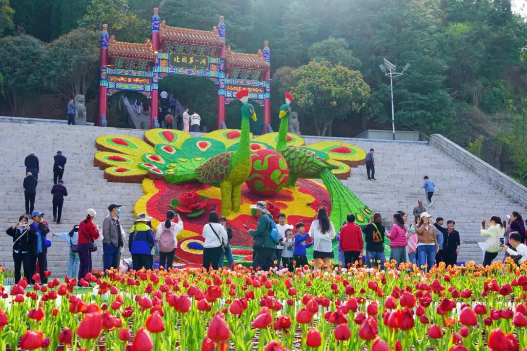 春日限定！2025 鸡冠洞郁金香花海节即将浪漫绽放