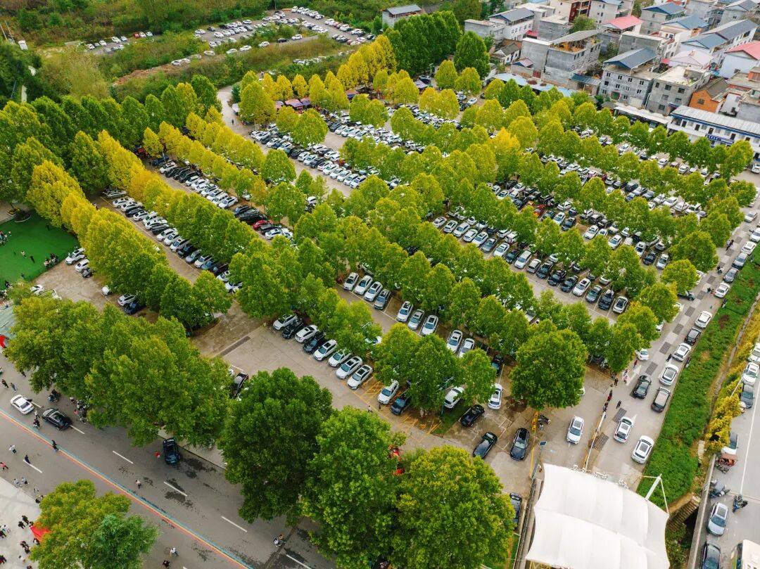 鸡冠洞 | 金秋新场景倍受追捧 国庆新体验赞不绝口