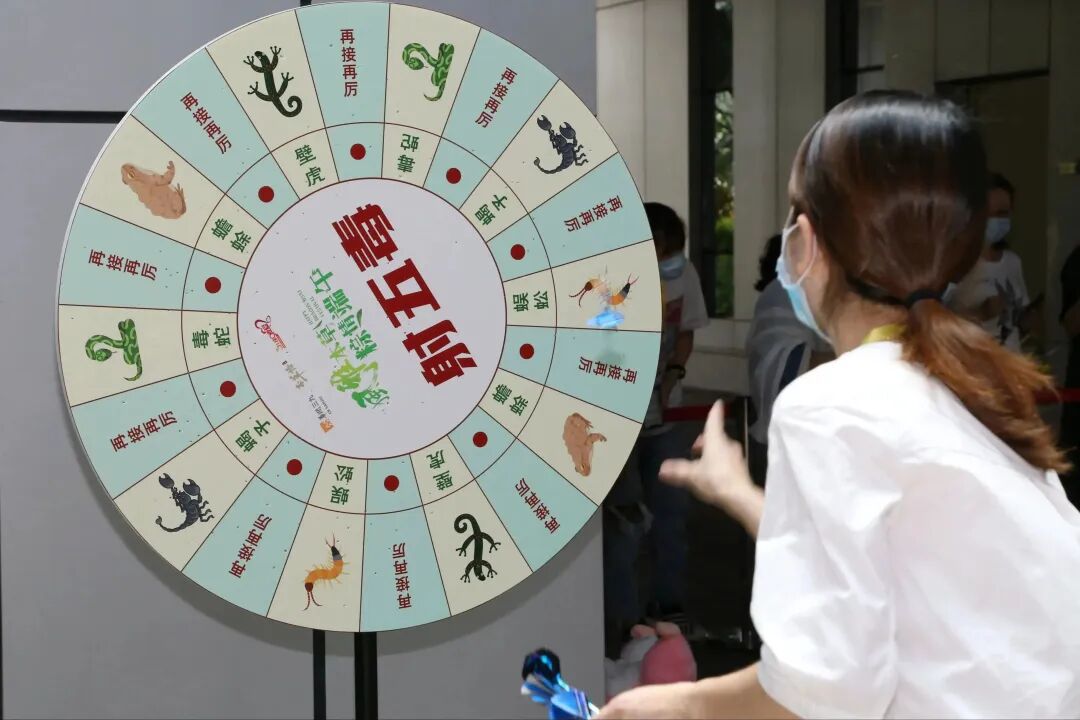 非遗过端午，鸡冠洞邀您一起包槲包、钓槲包、制香囊......