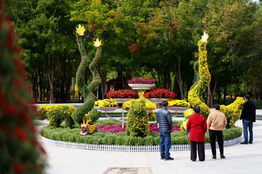 花海有约！2022鸡冠洞金秋菊展隆重开幕！