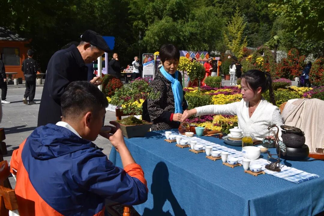 花海有约！2022鸡冠洞金秋菊展隆重开幕！