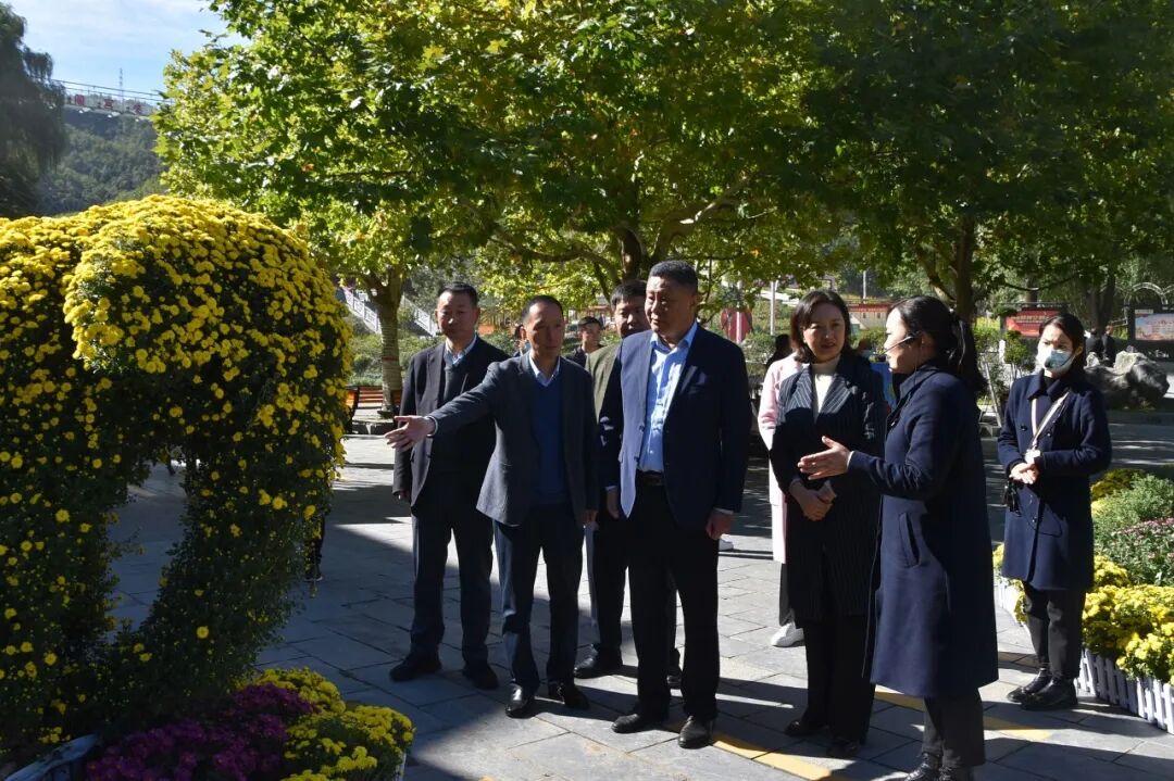 花海有约！2022鸡冠洞金秋菊展隆重开幕！