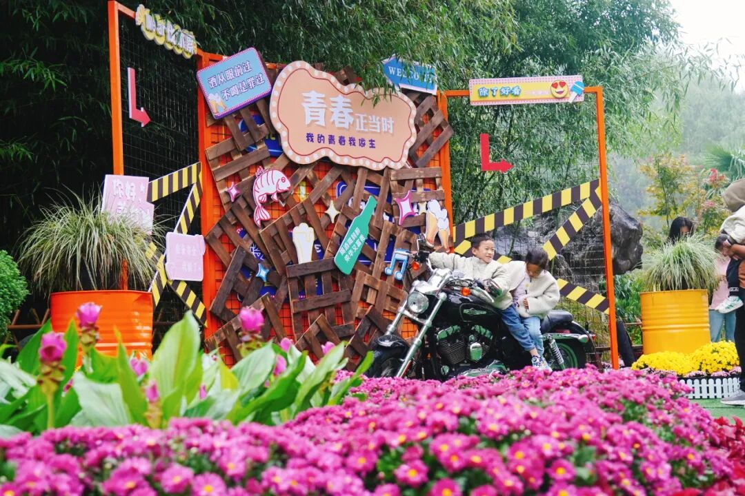 鸡冠洞 | 金秋新场景倍受追捧 国庆新体验赞不绝口