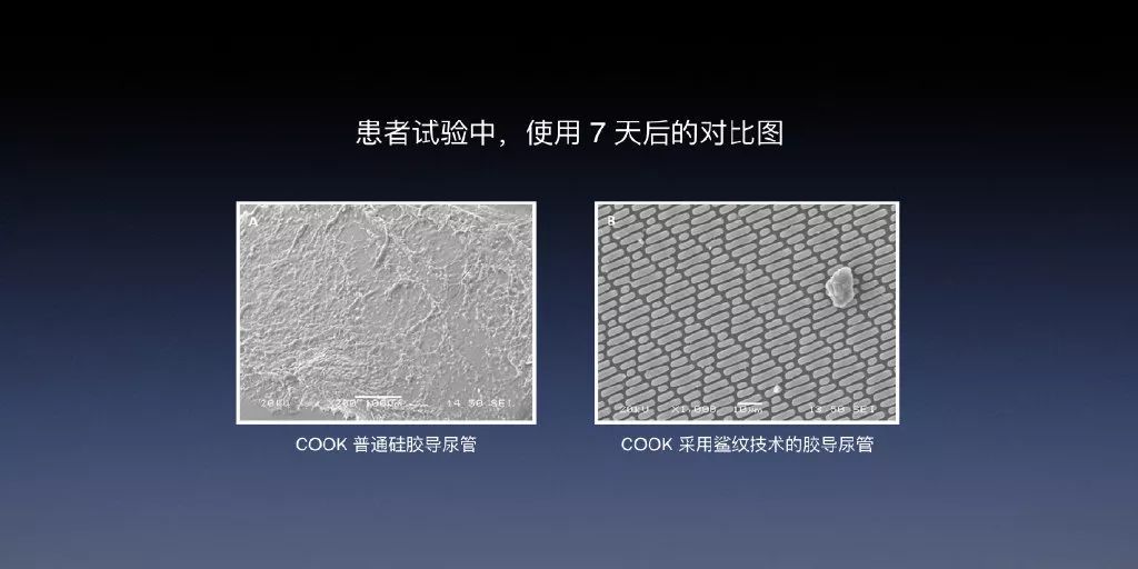 罗永浩“老赖”后再开发布会，罗永浩转行当带货大V？(图2)