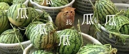 他们会让大众“真香”吗?