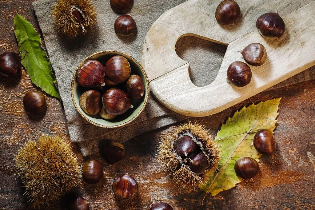 海参是发物吗_海参是不是发物_海参是否发物