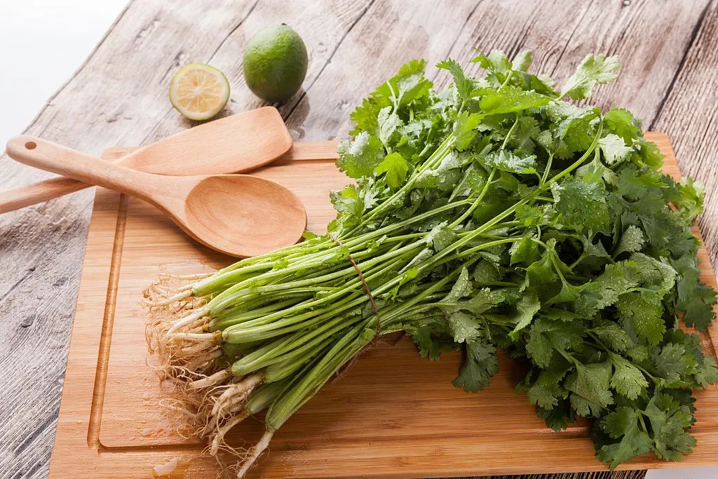 海参是发物吗_海参是不是发物_海参是否发物