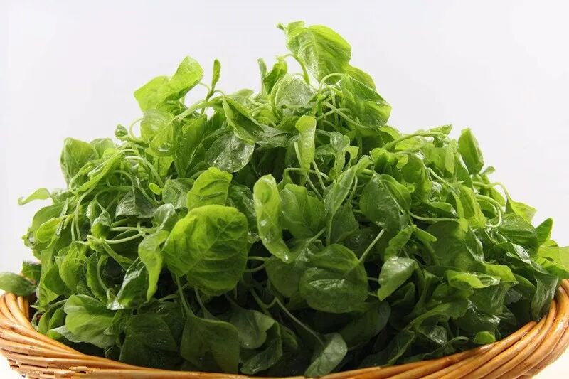 只需一把叶子，各种毒素瞬间排得干干净净！-古方玉灵膏-食疗补血妙方