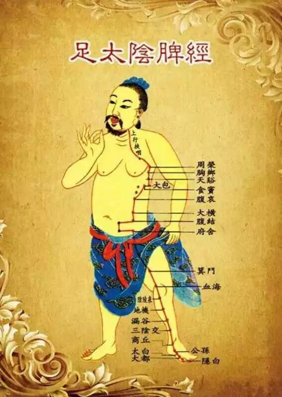 古法经络|脾经“大药房”(收藏)