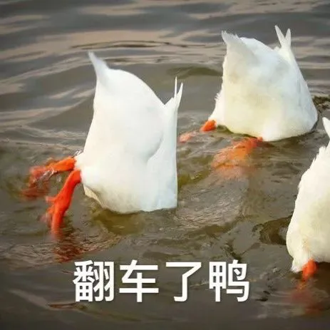 “吕秀才”喻恩泰早期黑图被扒,多次咸猪手女艺人,被指一肚坏水 ?