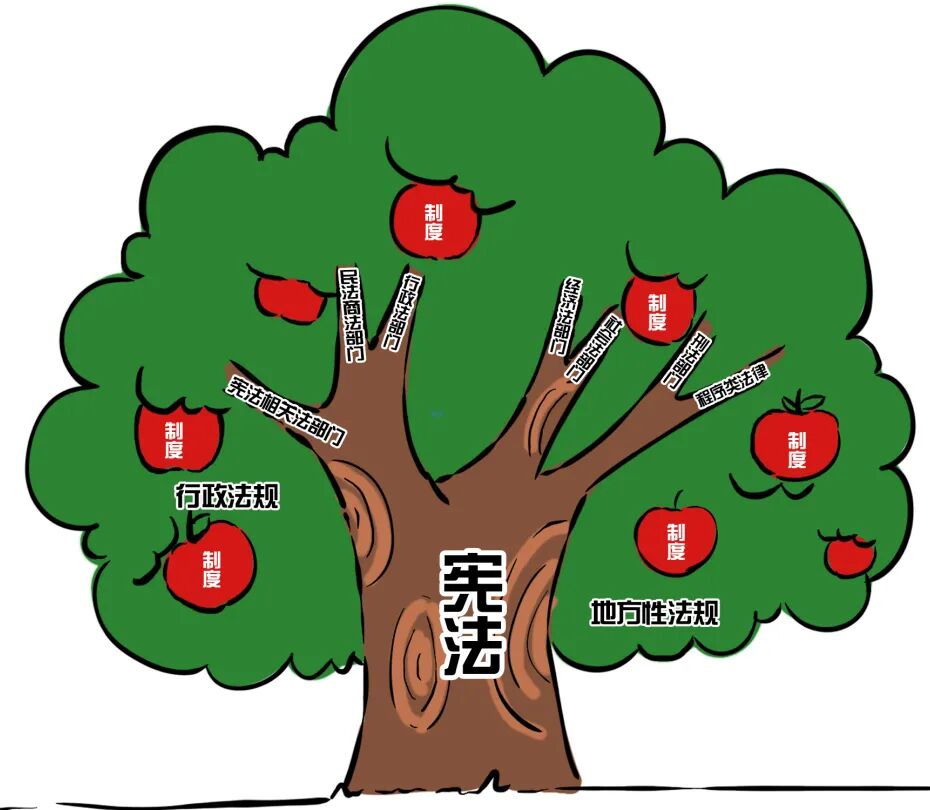 漫画你知道法治和法制有什么区别