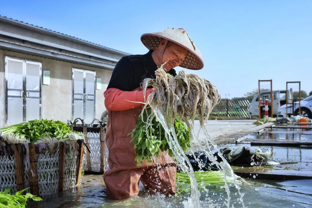 watermark,image_d3hnYy1hcHAvMEUwRkUzOTVGMTcyNDQ5RTk4MkZFRjFCQ0QwQTc0MTAucG5n,g_br,t_30,x_10,y_10