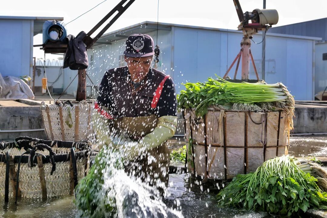 watermark,image_d3hnYy1hcHAvMEUwRkUzOTVGMTcyNDQ5RTk4MkZFRjFCQ0QwQTc0MTAucG5n,g_br,t_30,x_10,y_10