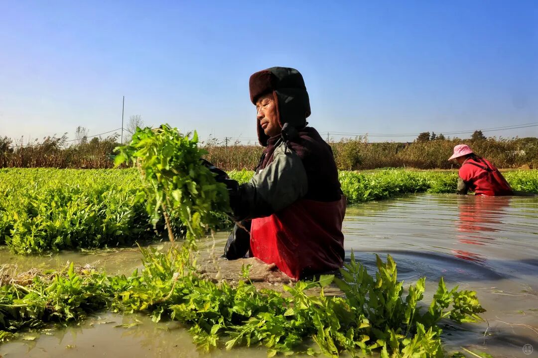 watermark,image_d3hnYy1hcHAvMEUwRkUzOTVGMTcyNDQ5RTk4MkZFRjFCQ0QwQTc0MTAucG5n,g_br,t_30,x_10,y_10