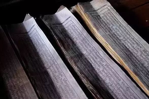 西藏有这样一种草,用它做的纸千百年不烂,你知道吗?