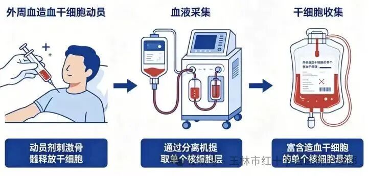 微信图片_20260802224157_283_1.jpg